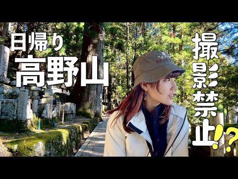 関西【初心者向け日帰り登山】観光グルメも完全攻略！｜世界遺産 高野山