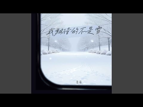 我期待的不是雪