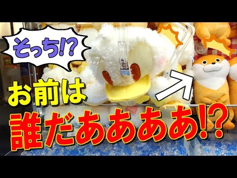 【UFOキャッチャー】500円チャレンジ！実力差をを突きつけられるほどプレイがヤバかった…。　(500 yen challenge!)