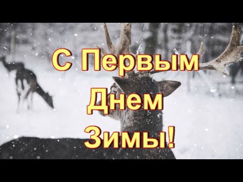 С Первым Днем Зимы!