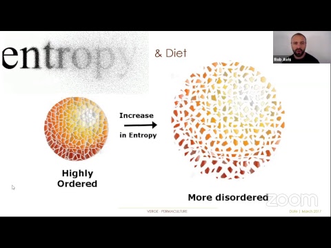 Context Specific Diets Part 4 of 6