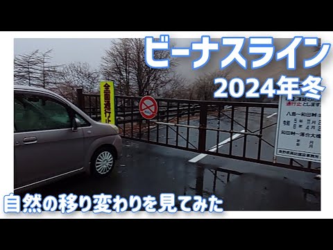 【ドライブ動画】ビーナスライン 2024年冬　　　自然の移り変わりを見てみた