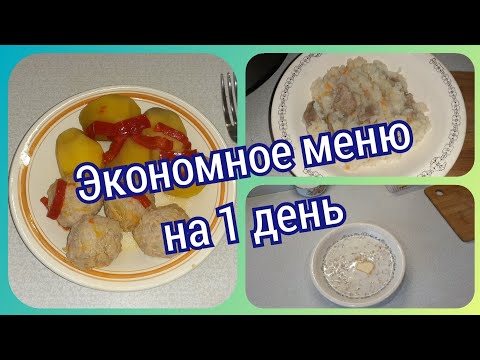 29. Экономное меню на один день! Что приготовить для семьи. Какие ягоды у меня остались в морозилке.