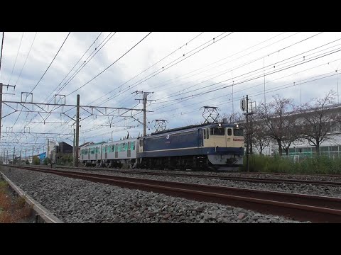 【甲種輸送】EF65 2086+横浜市営地下鉄グリーンライン10000形2両　2024.11.16