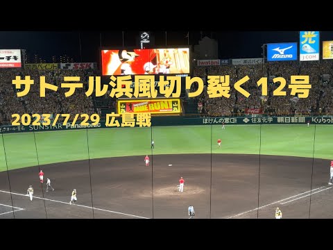 佐藤輝明12号ホームラン 浜風関係なし！ #hanshin #tigers #阪神タイガース #サトテル