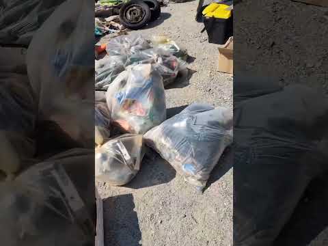 900 kg di plastica e rifiuti in meno nell'ambiente a Punta Pellaro (RC) 🤩