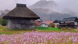 蒜山高原及奧大山祕境