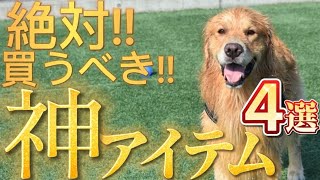 購入しないと後悔するレベルの犬用品【4選】