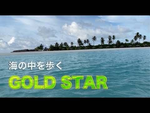 【モルディブ旅】ディグファルホテルの海を歩くGOLD STAR！