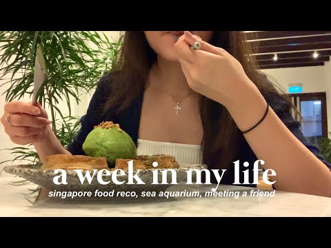 a week in my life | food marathon, 9-6 life, sea aquarium, meeting a friend 🥟