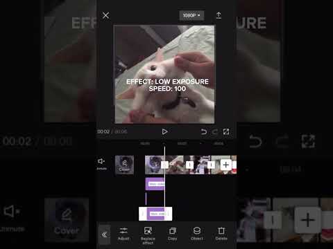 SHAKE TUTORIAL (CAPCUT) #cats #recommended #viral #fyp #capcut #tiktok