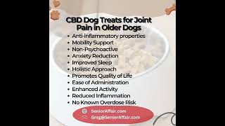 Easing Arthritis: CBD Dog Treats for Joint Pain in Senior Pups 🐾 | Paws and Comfort Unleashed!