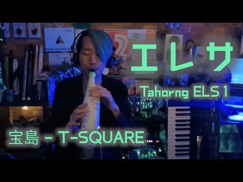 エレサで宝島をそこはかとなく吹いてみました🦀 / T-SQUARE / かにぱん