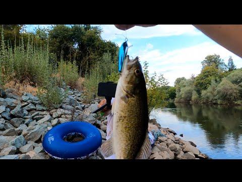 Fishing Stanislaus River~Floating In Tubes! #fishing #california #valley #river #bass #fish