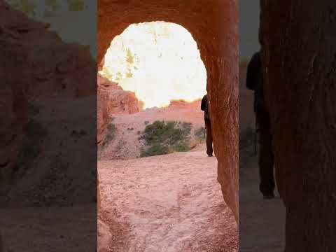 Queens Garden and Navajo Loop Trail through the Hoodoos. Bryce Canyon National Park Utah #Shorts