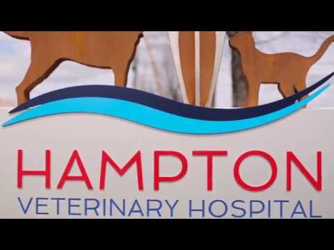 Hampton Veterinary Hospital   Anesthesia HD