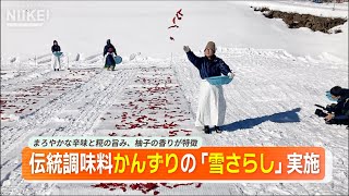 【名物 唐辛子調味料"かんずり"の雪さらし】新潟県妙高市で伝統調味料かんずりの「雪さらし」実施【小雪のため今年は場所を変更】