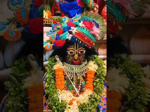 Today's Darshan of Sri Sri Radha Madhav Sundar Mandir 🌻 ISKCON Siliguri 🪷 December 24, 2024