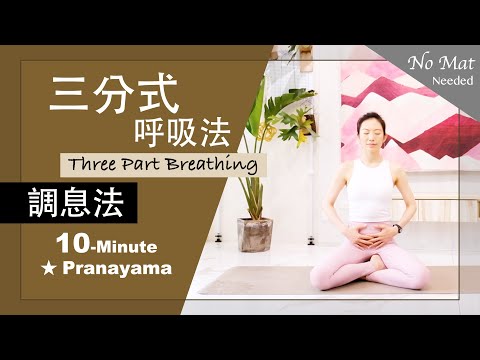 10分鐘 調息法【三分式呼吸法Three Part Breathing】Pranayama ★ #呼吸法 #呼吸放鬆 #冥想調息 #靜心