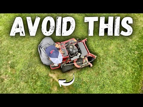 Avoid these Mistakes when Mowing in the Morning