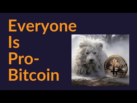 Everyone Is Pro-Bitcoin (Everyone)