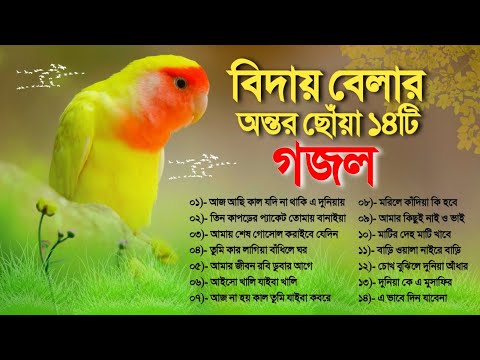 ১৪টি বিদায় বেলায় অন্তর ছোঁয়া গজল | Bangla Gojol Album | Heart Touching Top 14 Gojol | বাংলা গজল