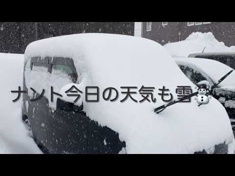 雪の量が違いすぎる