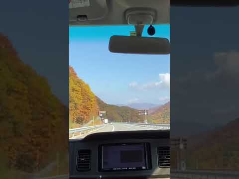 紅葉ドライブ