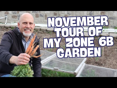 What is growing in my Fall Garden? - Full November Tour Zone 6b Garden