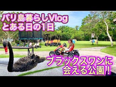 【バリ島暮らしVlog】ブラックスワンに会えるカフェ&パーク /とある日の1日