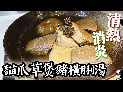 【清熱解毒｜散結止痛】貓爪草煲豬橫脷湯/ Pork Pancreas with Ranunculus ternatus soup｜沙先生料理