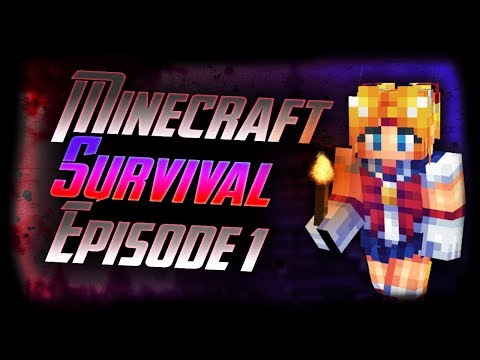 Die Epische Reise beginnt!  let's Play Minecraft Survival EP 1 mit Gusatav