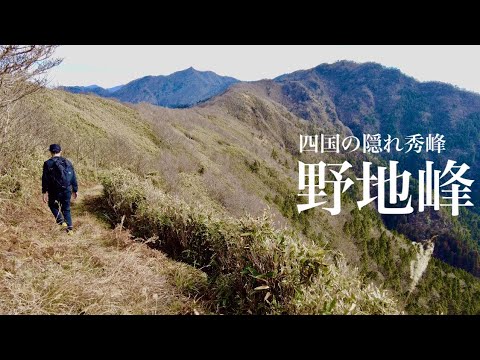 【登山】野地峰 なんでここが四国百名山じゃないのか…ここもまた素敵なお山でした。