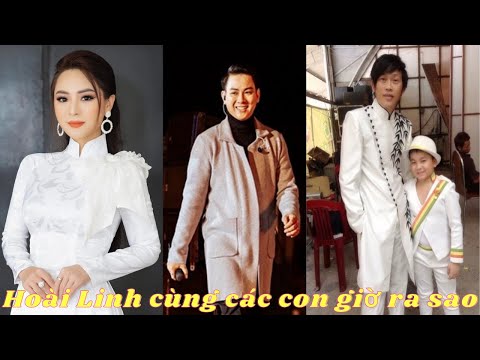 Hoài Linh, Hoài Lâm Ánh Linh và các con nuôi giờ ra sao sau vụ lùm xùm