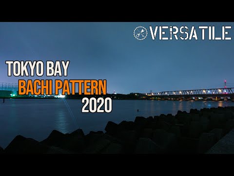 東京湾奥バチ抜けシーバス2020！