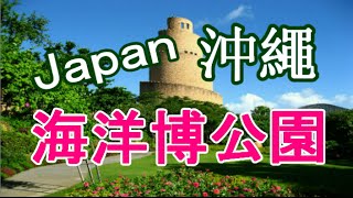 日本之旅：沖繩縣  海洋博公園 美麗海（Churaumi)水族館、海洋文化館天文館、沖繩鄉土村、熱帶夢幻中心、翡翠海灘 令您目不睱給的海洋公園世界☆ 沖繩15 Moopon