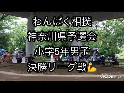 【わんぱく相撲】神奈川県予選会❗️小学5年男子の部2021.6.19(土)💪全国大会出場決定㊗️【葵相撲道場】