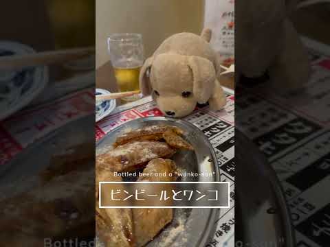 ビンビールとワンコさん〜Bottled beer and "wanko-san"〜 #shorts