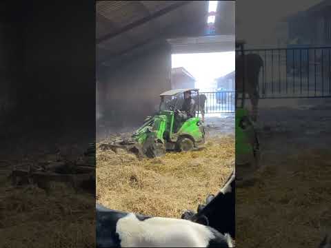 Farm Cows #shorts #fyp #cow #feeding #milking #hoofing