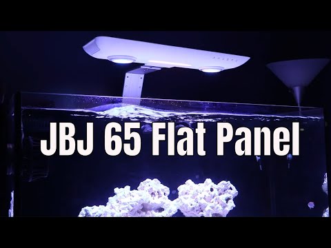 JBJ 65 Flat Panel Aquarium Update