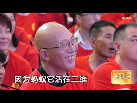 12 周文强【经营之道】05蚂蚁与苍蝇：你活在哪个维次？