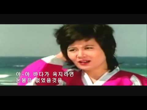 조미미 바다가 육지라면