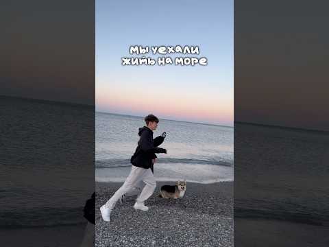 МЫ УЕХАЛИ ЖИТЬ НА МОРЕ… #shorts #отношения #жизнь #влог