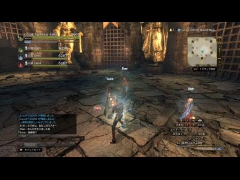 [DDON] WQ  激昂の処刑人