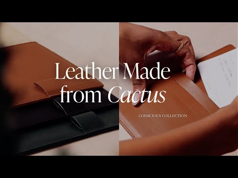 Our Newest Vegan Leather Planner Folio | The Conscious Collection | Cloth & Paper