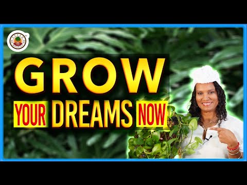 Grow Your Dreams: Use This Powerful  Ritual - DIY-Tutorial |Yeyeo Botanica