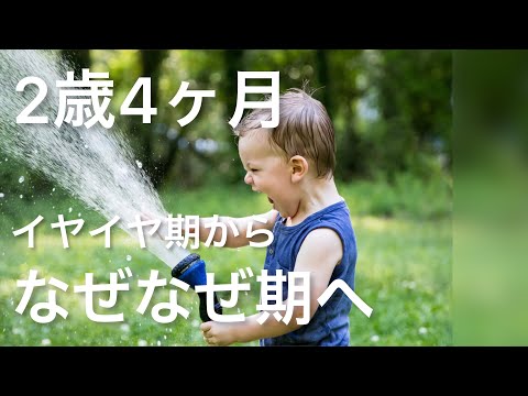 【育児】イヤイヤ期からなぜなぜ期に突入？2歳4ヶ月息子　My son asks many question from today