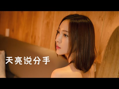 2021 抖音伤心情歌 天亮说分手（动态歌词 无损音质）