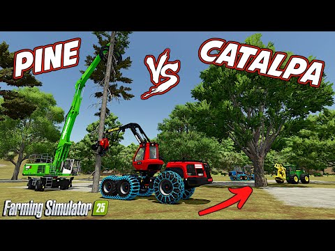 The BEST Tree To Use For Productions In Farming Simulator 25