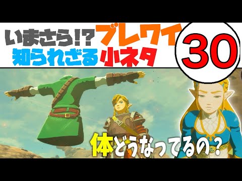 役に立つのか？ ブレワイの小ワザ・小ネタ30選【ブレワイ】【BotW】【ティアキン】総集編